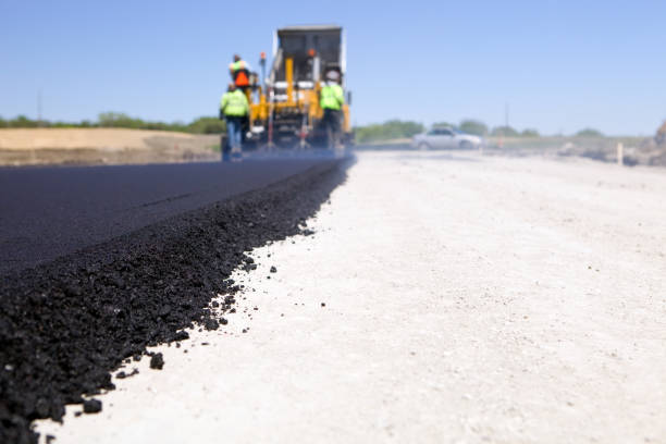 Best Driveway Paver Repair  in Cypress Quarters, FL